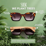 SCARLETT CHAMPAGNE - Sunglasses l Clear Pink Frame l Brown Graduated Lens l  White Maple Arms