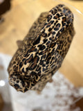 ESS Almeja Hermanita Leather Clutch ~ Leopard